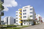 Bild-