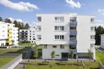 Bild-