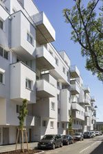Bild-