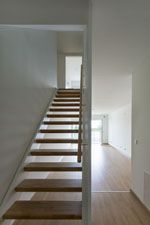 Bild-