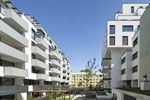 Bild-