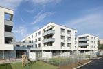 Bild-