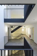 Bild-
