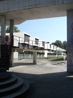 Bild-