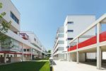 Bild-
